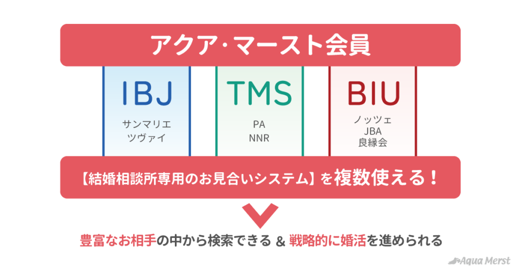 アクア・マースト会員は結婚相談所専用のお見合いシステムを複数使える→豊富なお相手の中から検索できる&戦略的に婚活を進められる